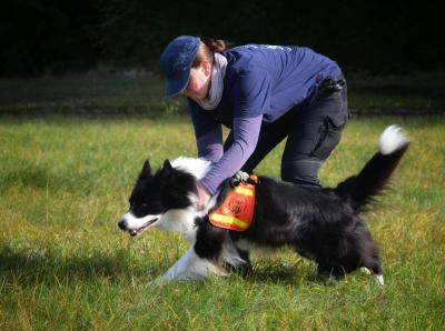 RHOT Rettungshundestaffel | Rettungshund beim Training