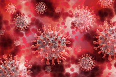 Aktuelle Informationen über das Corona-Virus gibt es beim Landkreis Prignitz. Quelle: pixabay