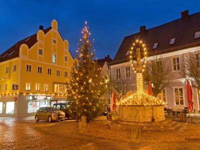 Bild der Meldung: Die Stadt Mainburg freut sich wieder über Christbaumspenden