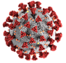 Coronavirus (Bild vergrößern)