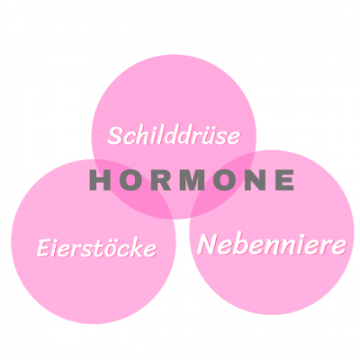 Blog: Hormon - Dreieck (Bild vergrößern)