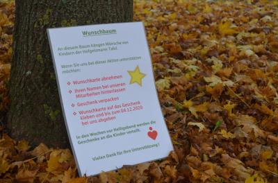 Der Herbst ist da – die Aktion Wunschbaum kann beginnen! (Bild vergrößern)