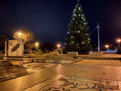 Bild der Meldung: Weihnachtsbaum auf dem Markt aufgestellt