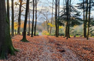 Meldung: LEADER sucht neue Ideen – zehnte Projektbewerbungsphase startet
