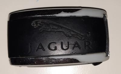 Jaguar-Schlüssel am Gohlitzsee gefunden