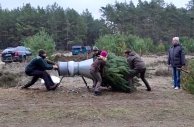 Nicht umsonst, aber draußen und coronagerecht: Weihnachtsbaumverkauf im Stadtwald Fürstenwalde