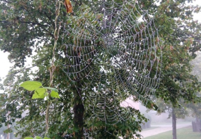 Vorschaubild zur Meldung: Newsletter - Herbst Vorschaubild zur Meldung: Newsletter - Herbst
