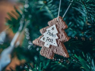 Frohe und gesegnete Weihnachtstage (Bild vergr&ouml;&szlig;ern)