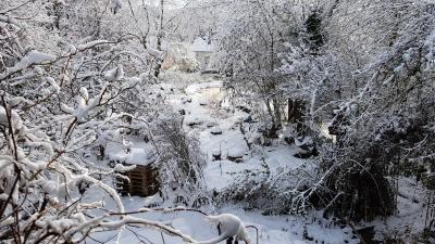 Winterruhe im Dezember im Hotzenwald-Naturgarten 2020