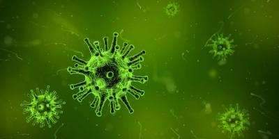 Coronavirus: Ausgangssperre auch an Silvester - kein Feuerwerk im öffentlichen Raum