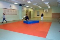 Judo am Elbe-Gymnasium - Selbstverteidigung gegen kleine und große Angriffe (Bild vergrößern)