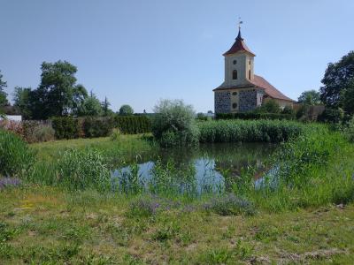 Kloster Lehniner Fotowettbewerb 2021 - „So schön ist unser Ort“ (Bild vergrößern)
