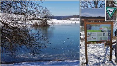 Naturdenkmal - Eichener See Feb 2021