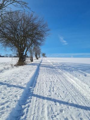 Foto zur Meldung: Winterwunderland Bühren