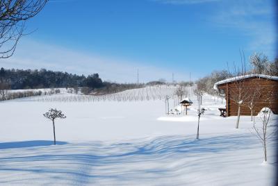 Querfurter Weinberg im Schnee