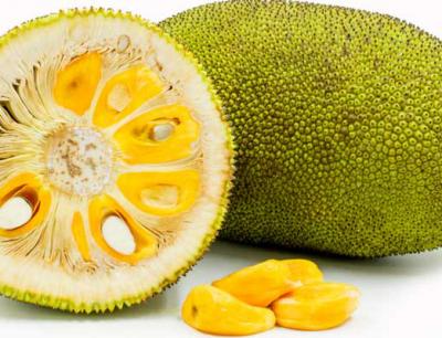 Bild der Meldung: Jackfruit - was ist das?