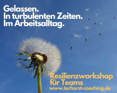 Meldung: Resilienzworkshop für Teams