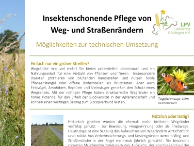 Informationsblatt zu insektenschonender Mahdtechnik (Bild vergrößern)