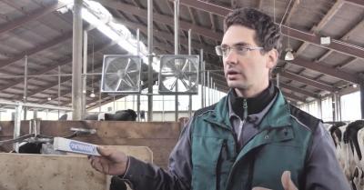 Foto zur Meldung: Liegeboxen im Kuhstall: Wie sind sie aufgebaut und welchen Komfort bieten sie den Kühen? *VIDEO*