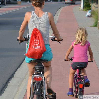 Vorschaubild zur Meldung: Leitziele für Verkehrskonzept beschlossen
