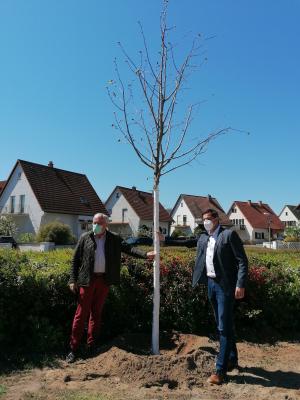 nauheim