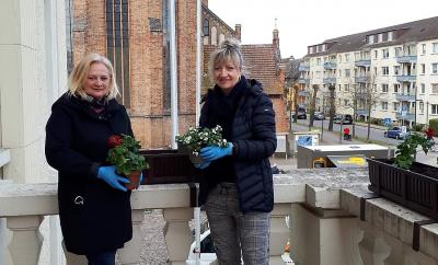 Blumen bringen  Farbe ins Stadtzentrum