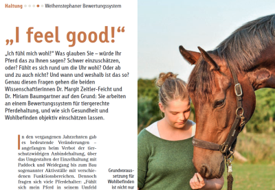Interview Baumgartner Reiter und Pferd