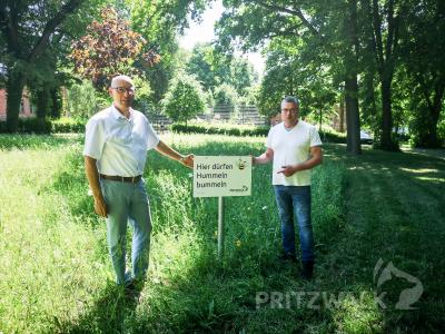 Bürgermeister Dr. Ronald Thiel und Peter Kniesel wollen mit den Blumenwiesen etwas für die Insekten tun. Foto: Beate Vogel