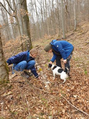 Dominik und Johanna Blessing beim Untersuchen des Waldstückes. (Bild vergrößern)
