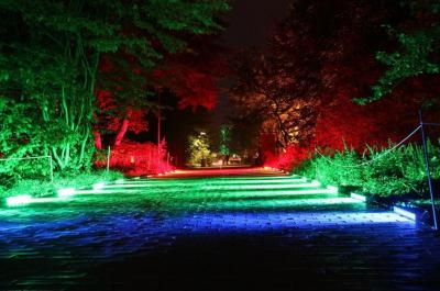 Vorschaubild zur Meldung: Licht und Hörspiel im Park