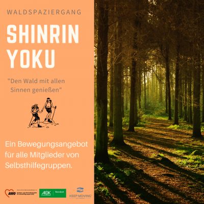 Shinrin Yoku – Bewegung, Entspannung, Achtsamkeit