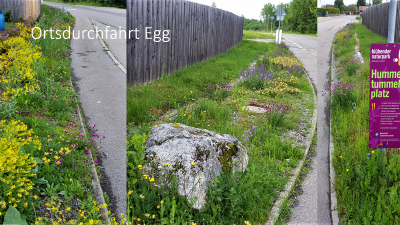 So sah die Fläche im Frühjahr aus - jetzt steht die Wild-Möhre und der Wasser-Dost meterhoch! Ein Wandel über das Blumenjahr.