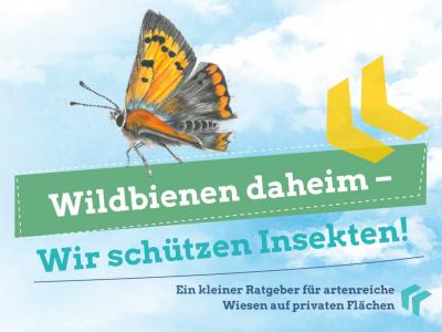 Neuer Ratgeber: Wildbienen daheim – Wir schützen Insekten!