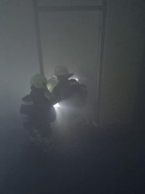 Meldung: Feuerwehr Elze übt in ehemaliger Sparkasse