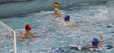 Foto zur Meldung: Wasserball U12 Qualifikationsturnier zum Deutschen Pokal