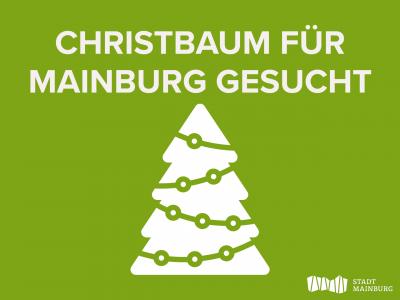 Christbaum für Mainburg gesucht