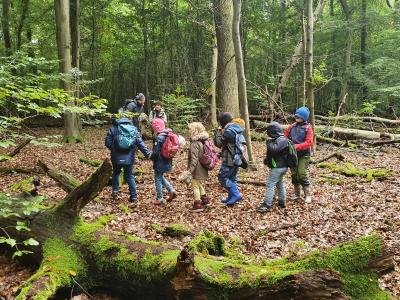 Foto zur Meldung: Im Wald gab es viel zu erleben: Kinder- und Jugendförderung berichtet über Herbstferienaktion
