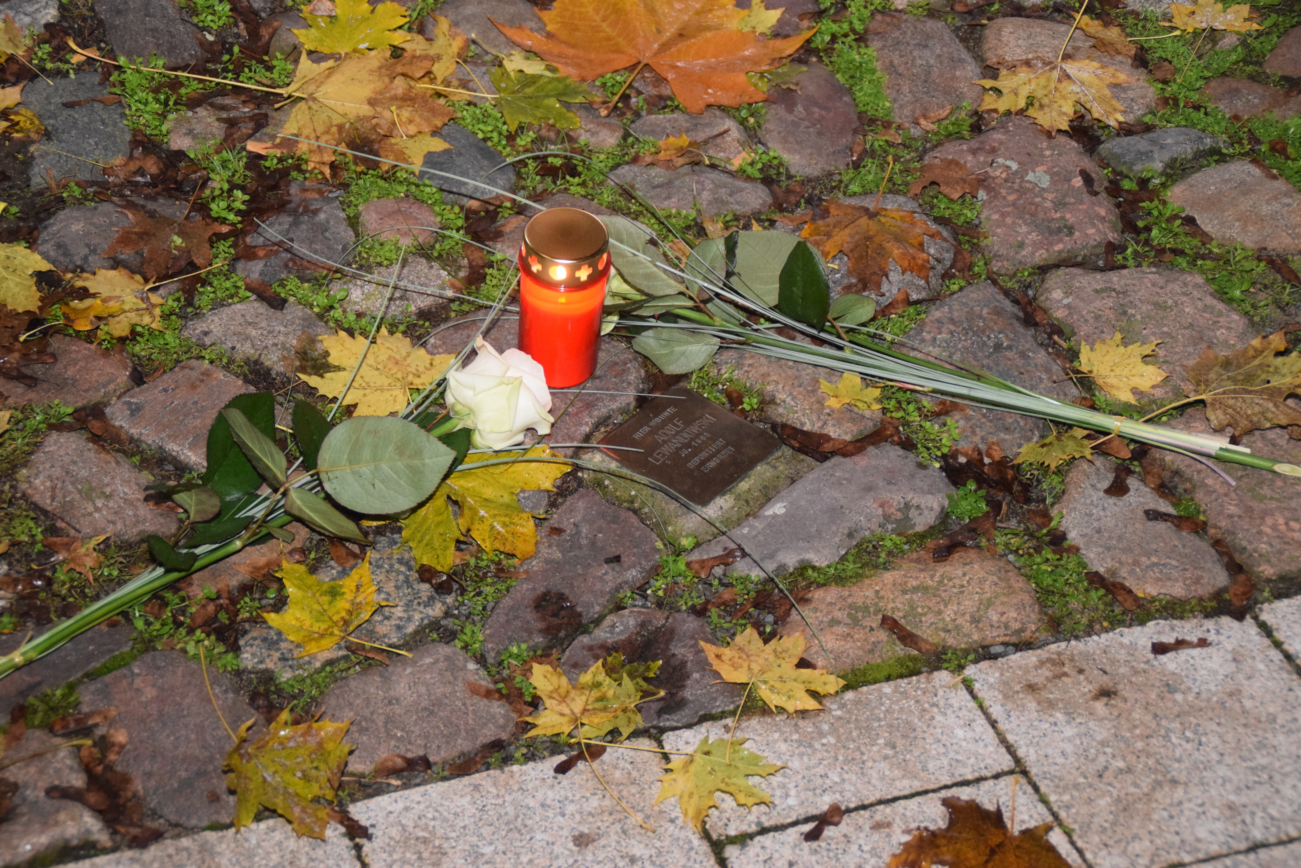 Abbildung: Stolperstein mit Blumen und Kerze in Gedenken an Adolf Lewandowski, An der Mauer 7