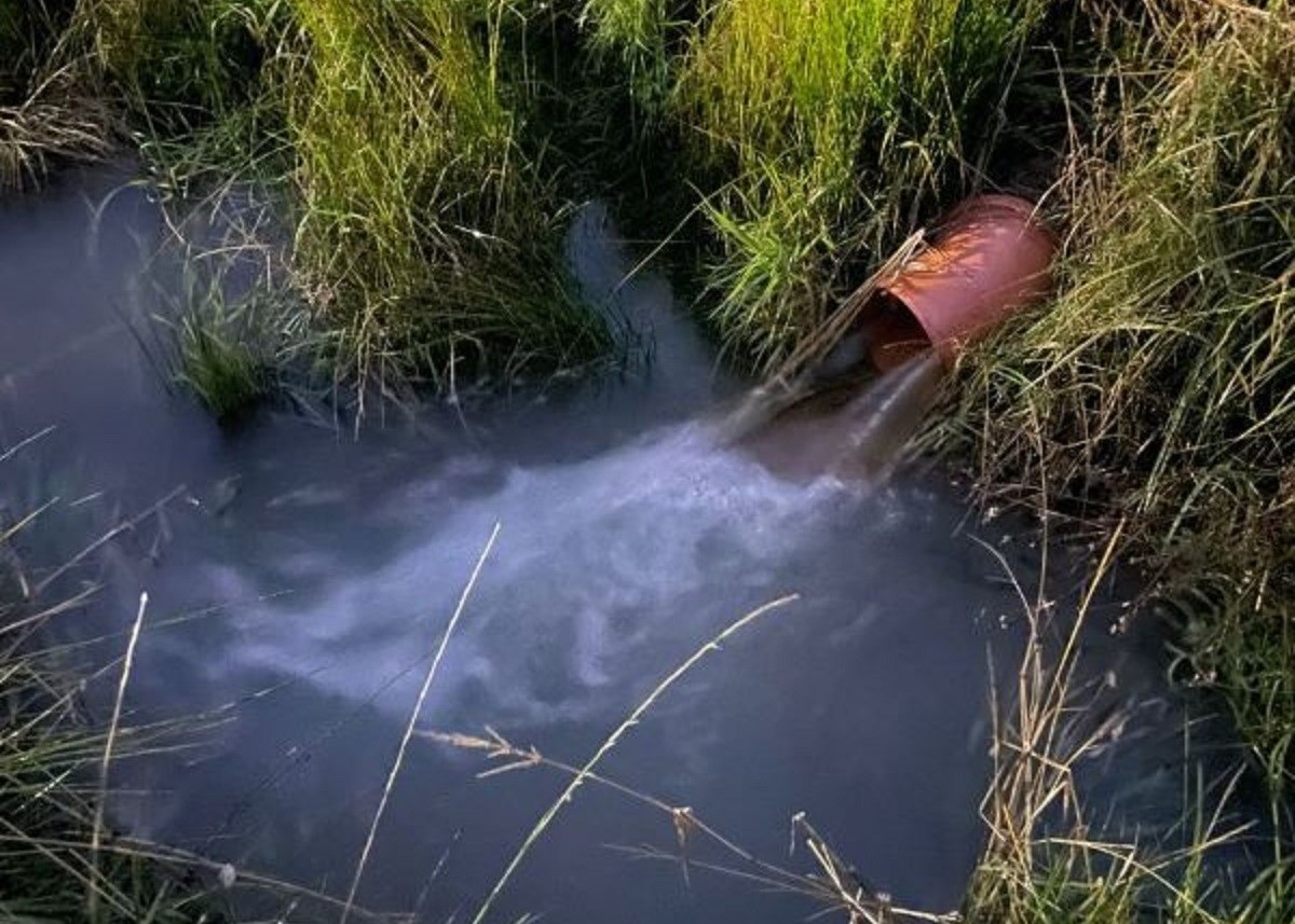 Aktuelle Informationen zum Körbaer Teich Amt Dahme/Mark
