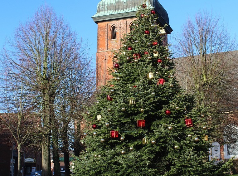 Foto: Pixabay - Weihnachtsbaum (Bild vergr&ouml;&szlig;ern)
