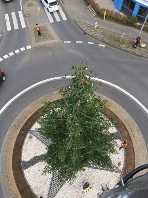 Foto zur Meldung: Ein Weihnachtsbaum für Weilerswist