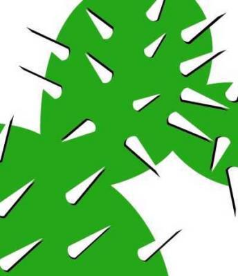 Black Friday Wochenende - 25 % Rabatt auf alle Pflanzen! (Bild vergr&ouml;&szlig;ern)
