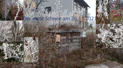 Winterzauber: Erster Schnee auf dem Hotzenwald 26.11.2021