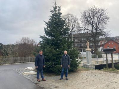 Foto zur Meldung: Weihnachtsbaum für den Dorfplatz gestiftet