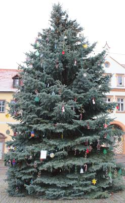 Weihnachtsbaum auf dem Querfurter Markt