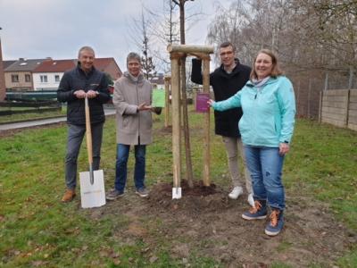 Foto zu Meldung: Westenergie und Gemeinde Holzwickede pflanzen 10 Klimabäume