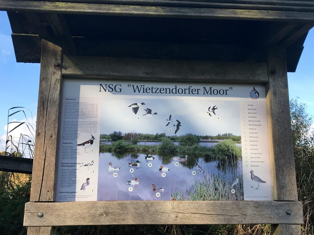 Wietzendorfer-Moor-1024x768