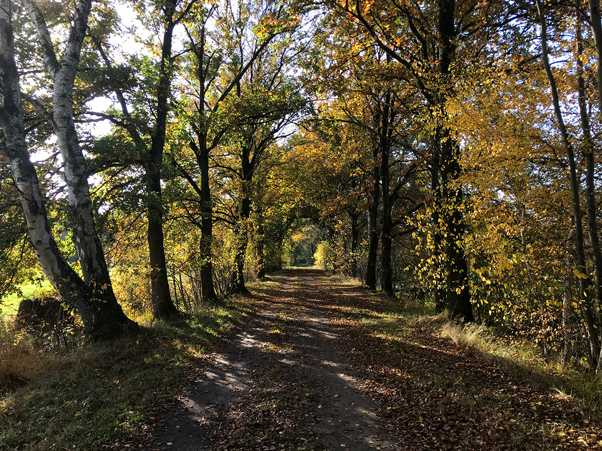 fluitweg