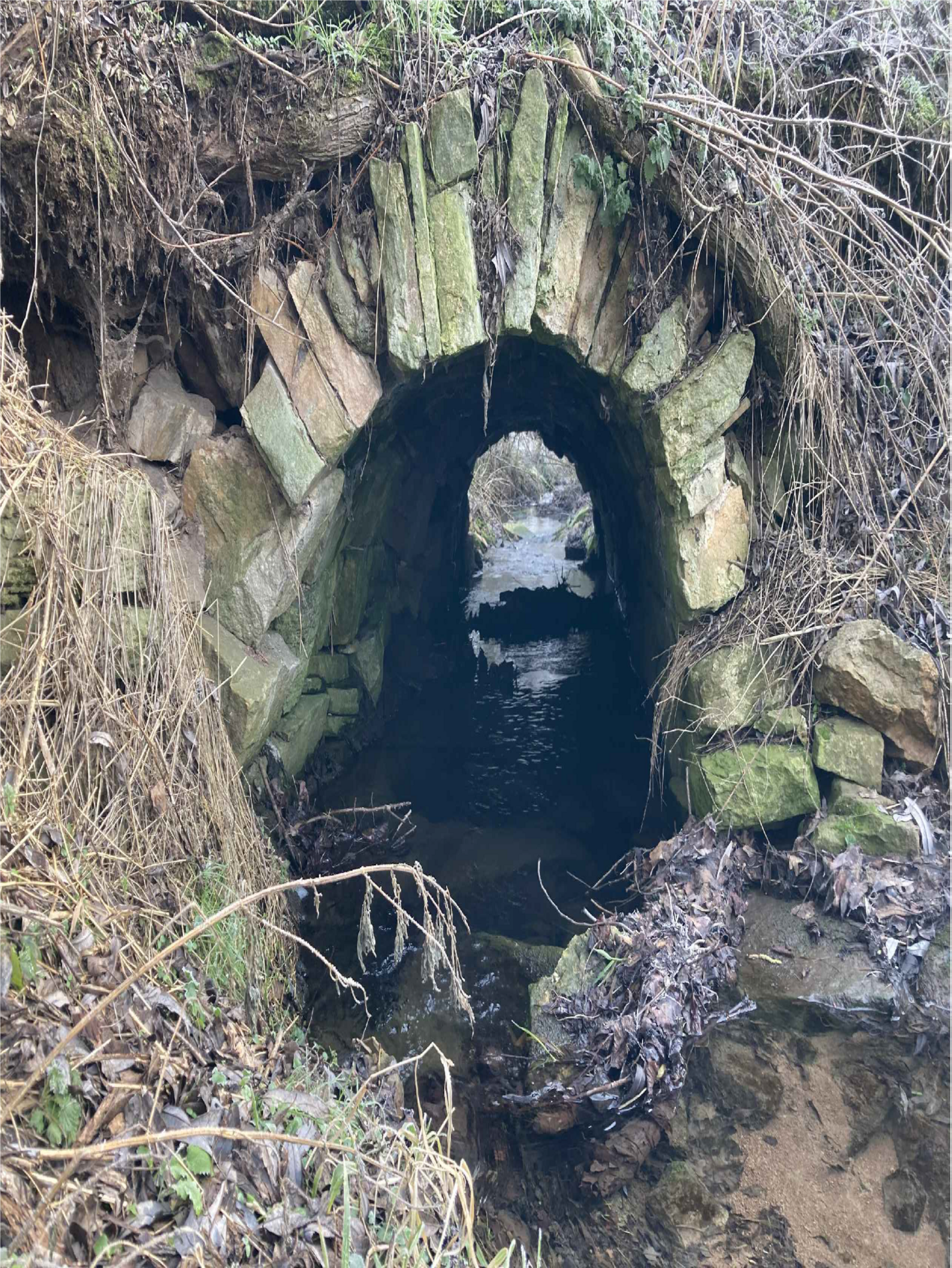 Brücke