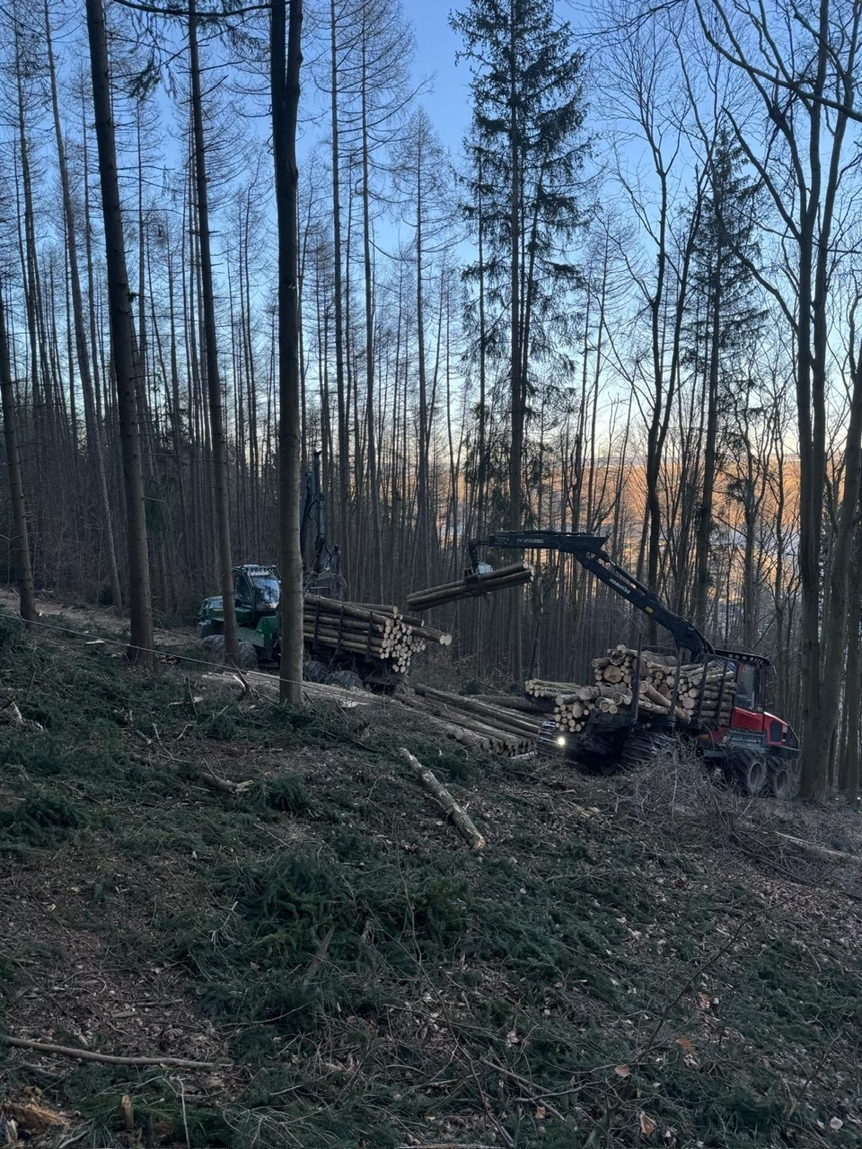 Maßnahme am Kulmberg